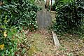 Highgate Cemetery - East - William Kingdon Clifford 01