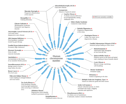 Archivo:Human chromosome diseases set en