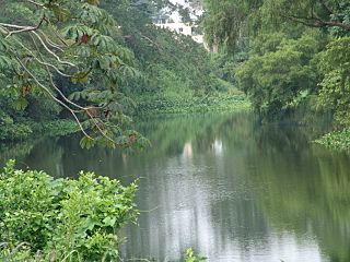 JamapaRiver-Near CasaBlancaTown VeracruzMexico.jpg