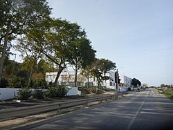 Jerez-P1690744.jpg