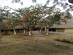 La Venta Museo de sitio.jpg