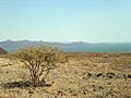 Lake turkana