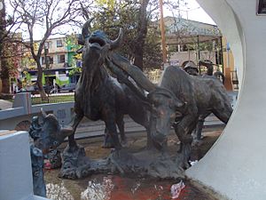 Archivo:Los toros -plaza principal de Cliza