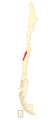 Mapa rhinoderma rufum