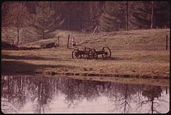NEAR SHADY SPRINGS, WEST VIRGINIA, ABOUT FOUR MILES FROM FIRECO WHICH IS NEAR BECKLEY. THIS TRANQUIL SCENE WITH... - NARA - 556479.jpg
