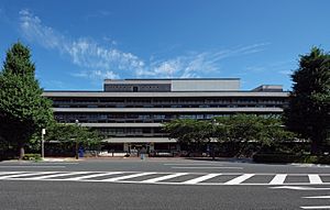 Archivo:National diet library 2009