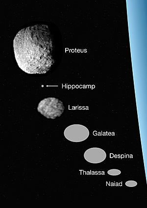 Archivo:Neptune inner moons size comparison