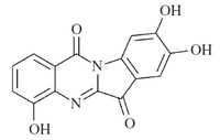 Ophiuroidine.png