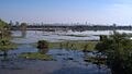 Paraná Delta near Rosario