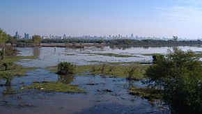 Paraná Delta near Rosario.jpg