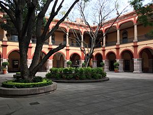 Archivo:Patio del Edificio Central de la USLP