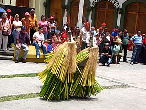 Archivo:Piaroa danse