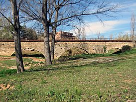 Pont de Can Vernet Sant Cugat.jpg