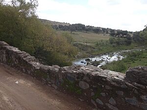 Archivo:Puente La Quemada - San Felipe, Guanajuato - Camino Real de Tierra Adentro 7