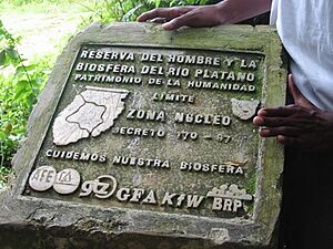 Archivo:Río Plátano Biosphere Reserve-109064