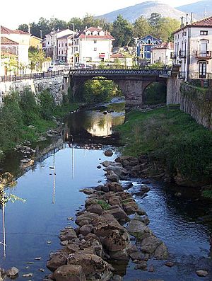 Archivo:Rio Miera La Cavada Cantabria
