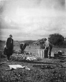 Archivo:Samling av lerkärl från Chané packas ned. Olga Nordenskiöld t.v. på bilden - SMVK - 005873