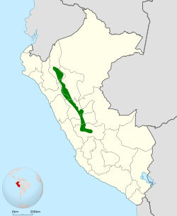 Distribución geográfica del churrín patudo.
