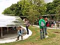 Serpentine Gallery Pavilion 2009 - low roof attracts children - geograph.org.uk - 1397386
