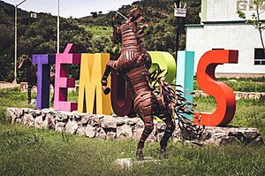 Archivo:Stella nombre Témoris, Chihuahua