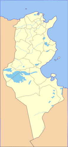 Tunisia blank map with governates.svg