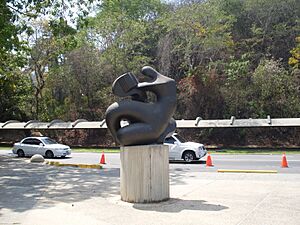 Archivo:UCV 2015-005a Francisco Narváez 1954, La cultura
