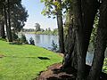 Willammette River at Peoria, Oregon (7965494380)