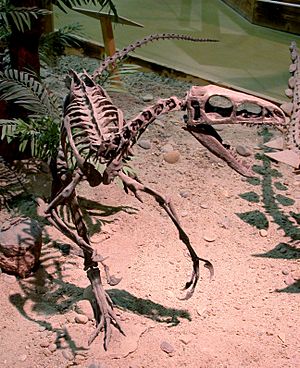 Archivo:Zuni Coelurosaur
