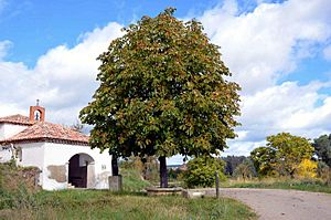 Archivo:1-Torrebaja ermita-sanJosé (2015)-2