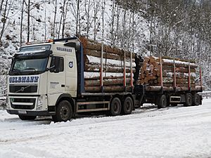 Archivo:2017-12-02 (100) Volvo FH500 from Franz Gelbmann GmbH with wood near Laubenbachmühle, Frankenfels, Austria