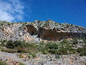 Archivo:Abrics del pla de Petracos, Castell de Castells