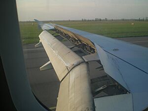 Archivo:Airbus A319 left wing during the landing. S7 Airlines, Moscow-Pavlodar. May 2009