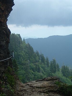 Archivo:Alum Cave Bluffs Trail