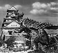 Anguirus 1955 2