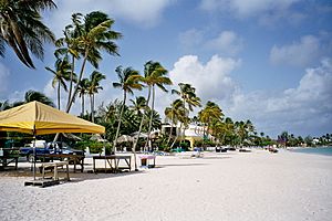 Archivo:Antigua beach view