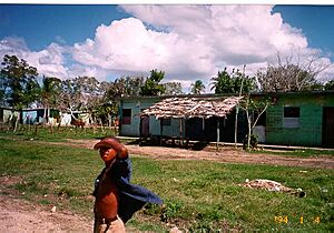Archivo:Batey Marg 2