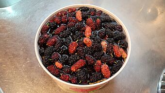 Archivo:Blackberry (fruit) grown in Capioví