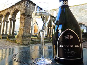 Archivo:Bouteillemontagecordeliers