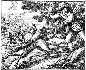 Archivo:Boycriedwolfbarlow