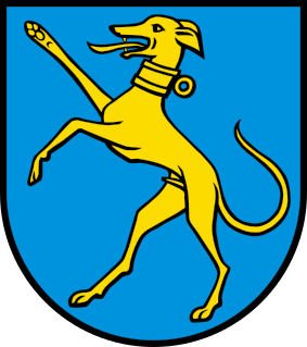 CHE Hunzenschwil COA