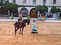Caballerizas Reales (7155672029)