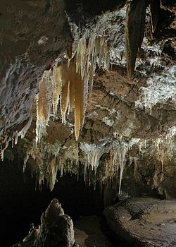 California Caverns.jpg