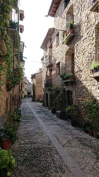 Archivo:Calle Mayor 2, Ainsa, Spain