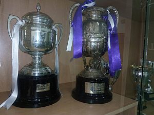 Archivo:Campeonato de Liga y Copa Federación