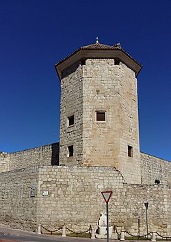 Castillo del Moral 002 (cropped).jpg