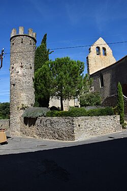Castle of Roquecourbe-Minervois005.JPG