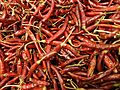 Chile de Árbol seco