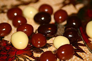 Archivo:Chocolatecoveredcoffeebeans