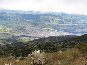 Archivo:Cima del Cerro Morasurco