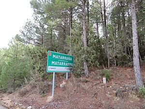 Archivo:Comarca Matarraña, Teruel